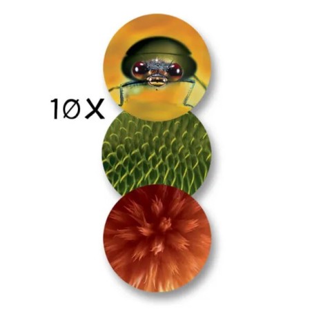 Navir Dětský mikroskop pavoučí oko