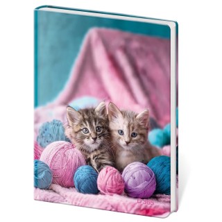 Helma 365 Památník A5 13 x 18 cm Babes čistý