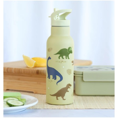 A Little Lovely Company Nerezová lahev na pití dinosauři 500 ml