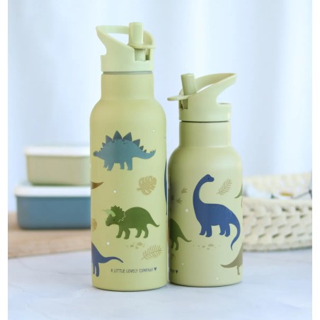 A Little Lovely Company Nerezová lahev na pití dinosauři 500 ml