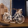 Ugears 3D dřevěné mechanické puzzle Kolo Holland