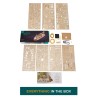 Ugears 3D dřevěné mechanické puzzle Výzkumný parník