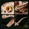 RoboTime 3D dřevěná mechanická skládačka Velociraptor