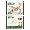 RoboTime 3D dřevěná mechanická skládačka Velociraptor
