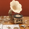 RoboTime 3D dřevěné mechanické puzzle Gramofon