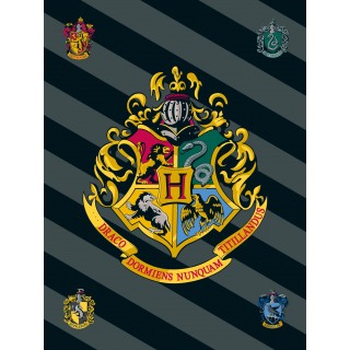 Jerry Fabrics Dětská fleecová deka Harry Potter 067 100x150 cm