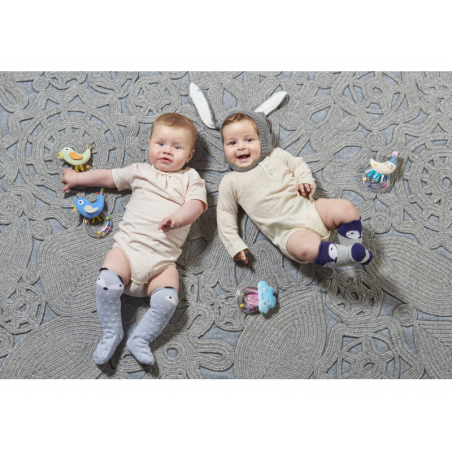 Taf Toys Chrastítko ptáček Taf Toys Chrastítko ptáček