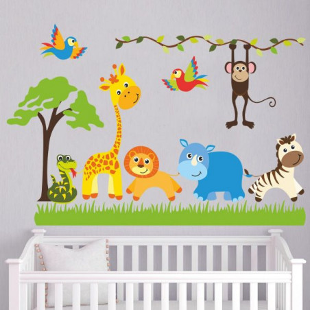Safari Safari
