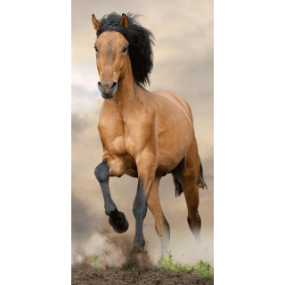 Jerry Fabrics Osuška Horse brown 70x140 cm