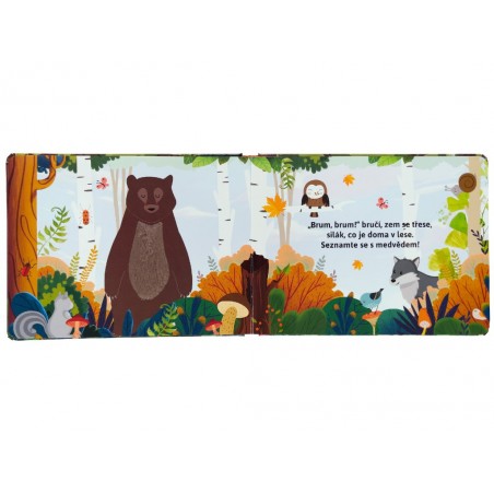 Svojtka Zvířata z lesa Pohlaď si