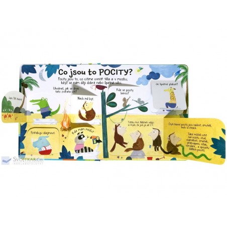 Svojtka Co jsou to pocity?