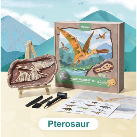 MiDeer Vykopávání dinosaurů Pterosaurus