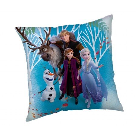 Jerry Fabrics Dětský polštářek Frozen 02 Family 40x40 cm