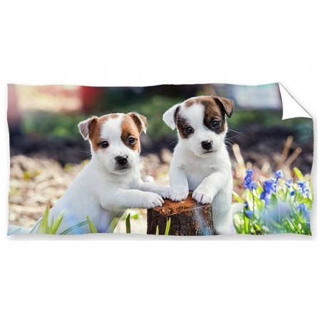 Carbotex Dětská osuška Bráškové Jack Russell Teriér 70x140 cm