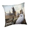 Jerry Fabrics Dětský polštářek Harry Potter Hedwig 02 40x40 cm Jerry Fabrics Dětský polštářek Harry Potter Hedwig 02 40x40 cm