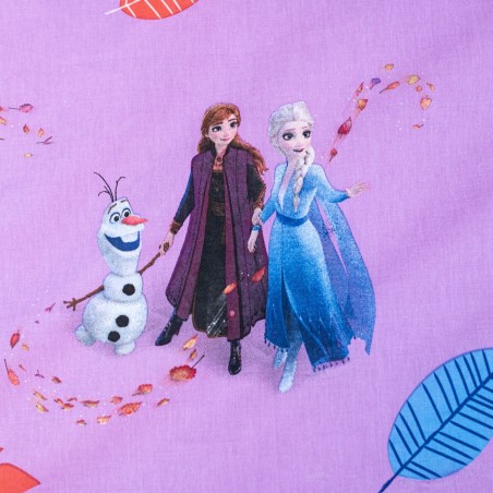 Jerry Fabrics Dětské povlečení Frozen Magical time 140x200, 70x90 cm Jerry Fabrics Dětské povlečení Frozen Magical time 140x200, 70x90 cm