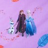 Jerry Fabrics Dětské povlečení Frozen Magical time 140x200, 70x90 cm Jerry Fabrics Dětské povlečení Frozen Magical time 140x200, 70x90 cm