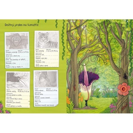 Jiri Models Svět zvířat v samolepkách Divoká zvířata Jiri Models Svět zvířat v samolepkách Divoká zvířata