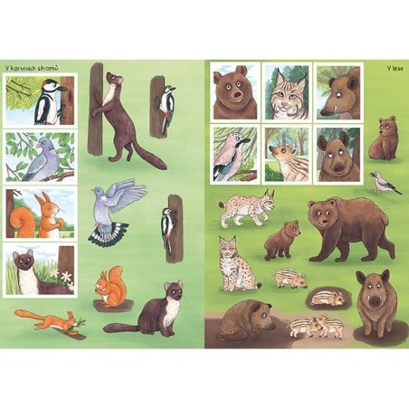 Jiri Models Svět zvířat v samolepkách Zvířata v lese a na louce Jiri Models Svět zvířat v samolepkách Zvířata v lese a na louce