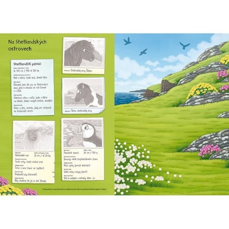 Jiri Models Svět zvířat v samolepkách Koně a poníci Jiri Models Svět zvířat v samolepkách Koně a poníci