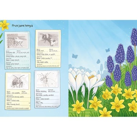 Jiri Models Svět zvířat v samolepkách Hmyz Jiri Models Svět zvířat v samolepkách Hmyz