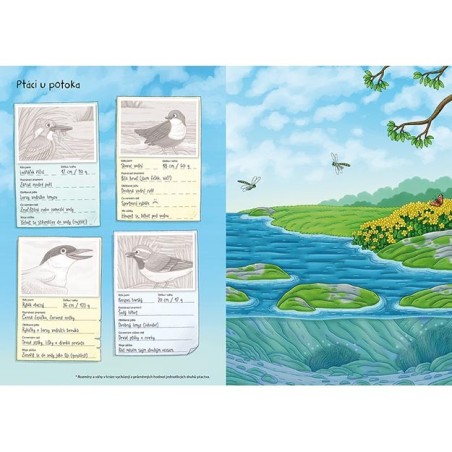 Jiri Models Svět zvířat v samolepkách Naši ptáci Jiri Models Svět zvířat v samolepkách Naši ptáci