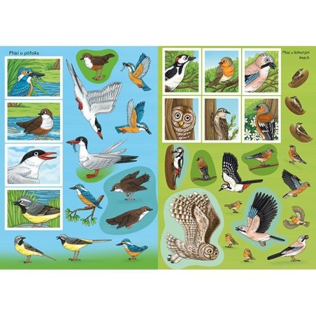 Jiri Models Svět zvířat v samolepkách Naši ptáci Jiri Models Svět zvířat v samolepkách Naši ptáci