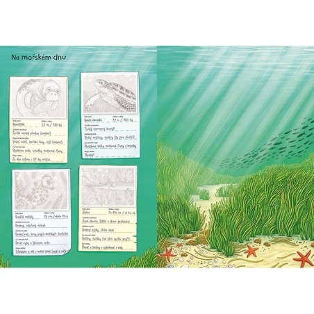 Jiri Models Svět zvířat v samolepkách Zvířata v moři a oceánu Jiri Models Svět zvířat v samolepkách Zvířata v moři a oceánu