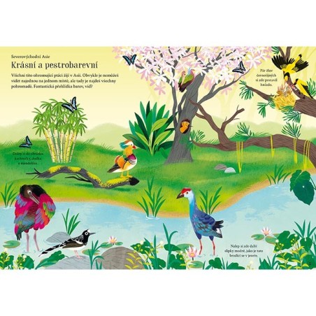 Jiri Models Moje první samolepkování Ptáci