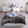 Jerry Fabrics Dětské povlečení Harry Potter Hedwig 02 140x200, 70x90 cm