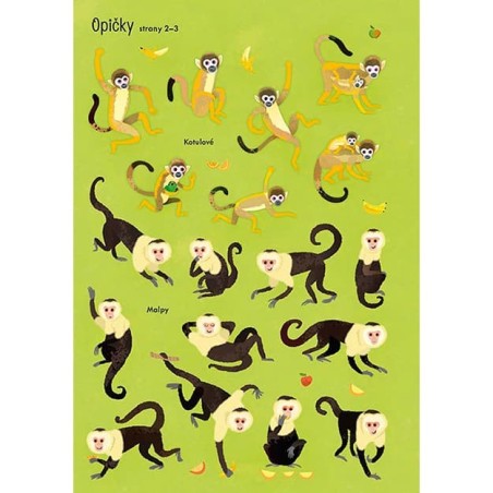 Jiri Models Moje první samolepkování Zoo