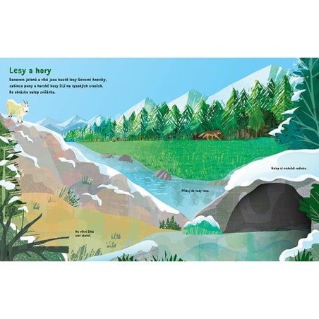 Jiri Models Samolepkový sešit Divoká zvířata