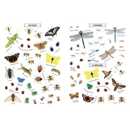 Jiri Models Samolepkový sešit Hmyz