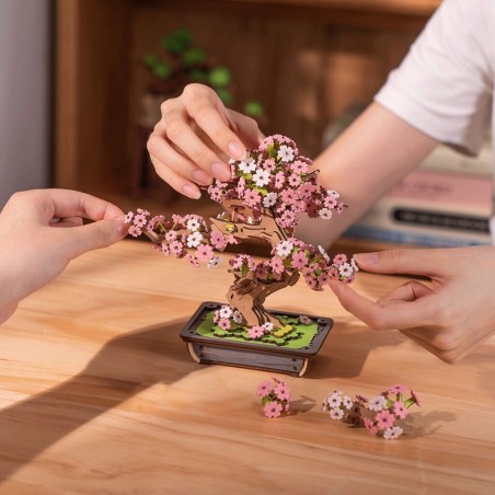 RoboTime 3D dřevěná skládačka Bonsaj sakura