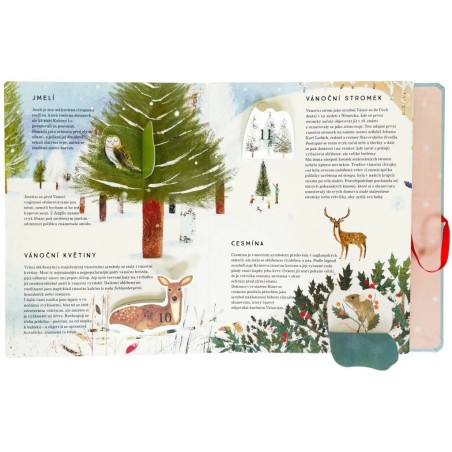 Svojtka Kniha 24 dnů do Vánoc