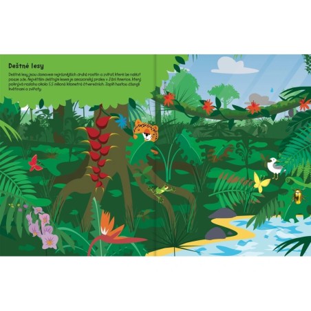 Svojtka 555 samolepek Země