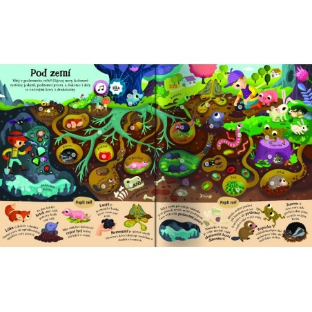 Svojtka Najdi mě Svět kolem nás