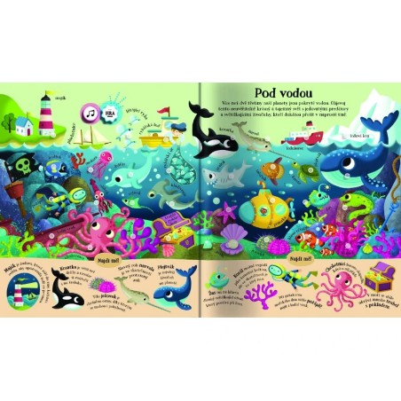 Svojtka Najdi mě Svět kolem nás