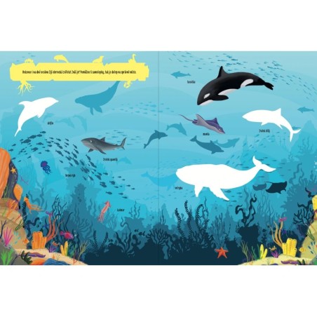 Svojtka Aktivity se samolepkami Objevuji...U vody