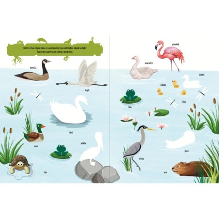 Svojtka Aktivity se samolepkami Objevuji...U vody