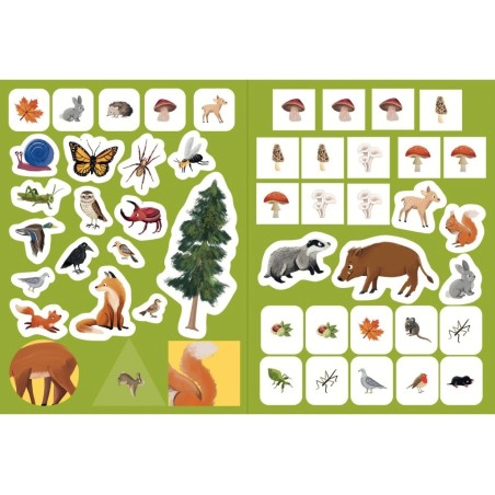 Svojtka Aktivity se samolepkami Objevuji...V lese