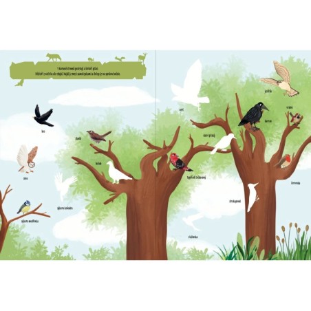 Svojtka Aktivity se samolepkami Objevuji...V lese