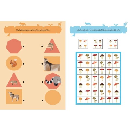 Svojtka Aktivity se samolepkami Objevuji...V lese