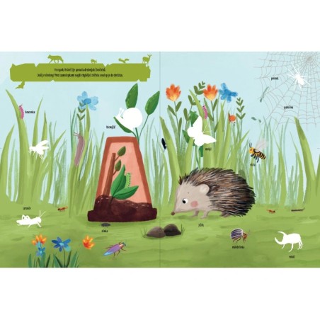 Svojtka Aktivity se samolepkami Objevuji...V lese