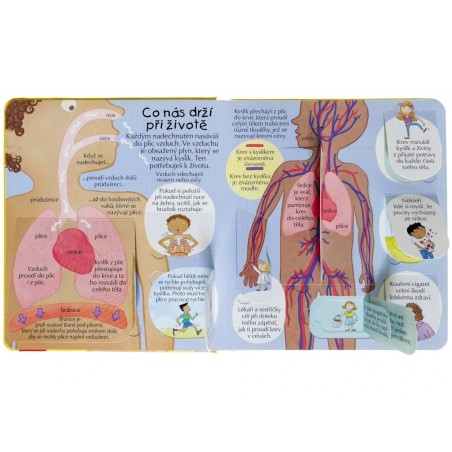 Svojtka Dětská encyklopedie Podívej se do svého těla