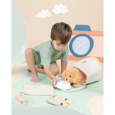 New Classic Toy Sada péče o domácí mazlíčky