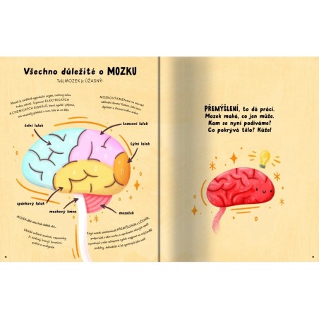 Svojtka Dětská kniha Pětiminutové příběhy lidského těla
