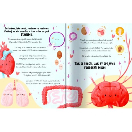 Svojtka Dětská kniha Pětiminutové příběhy lidského těla