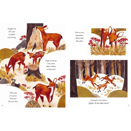 Svojtka Dětská kniha Pětiminutové příběhy z lesa