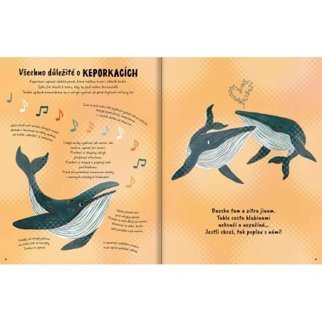 Svojtka Dětská kniha Pětiminutové příběhy z oceánu